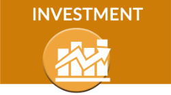 Annual Investment Survey